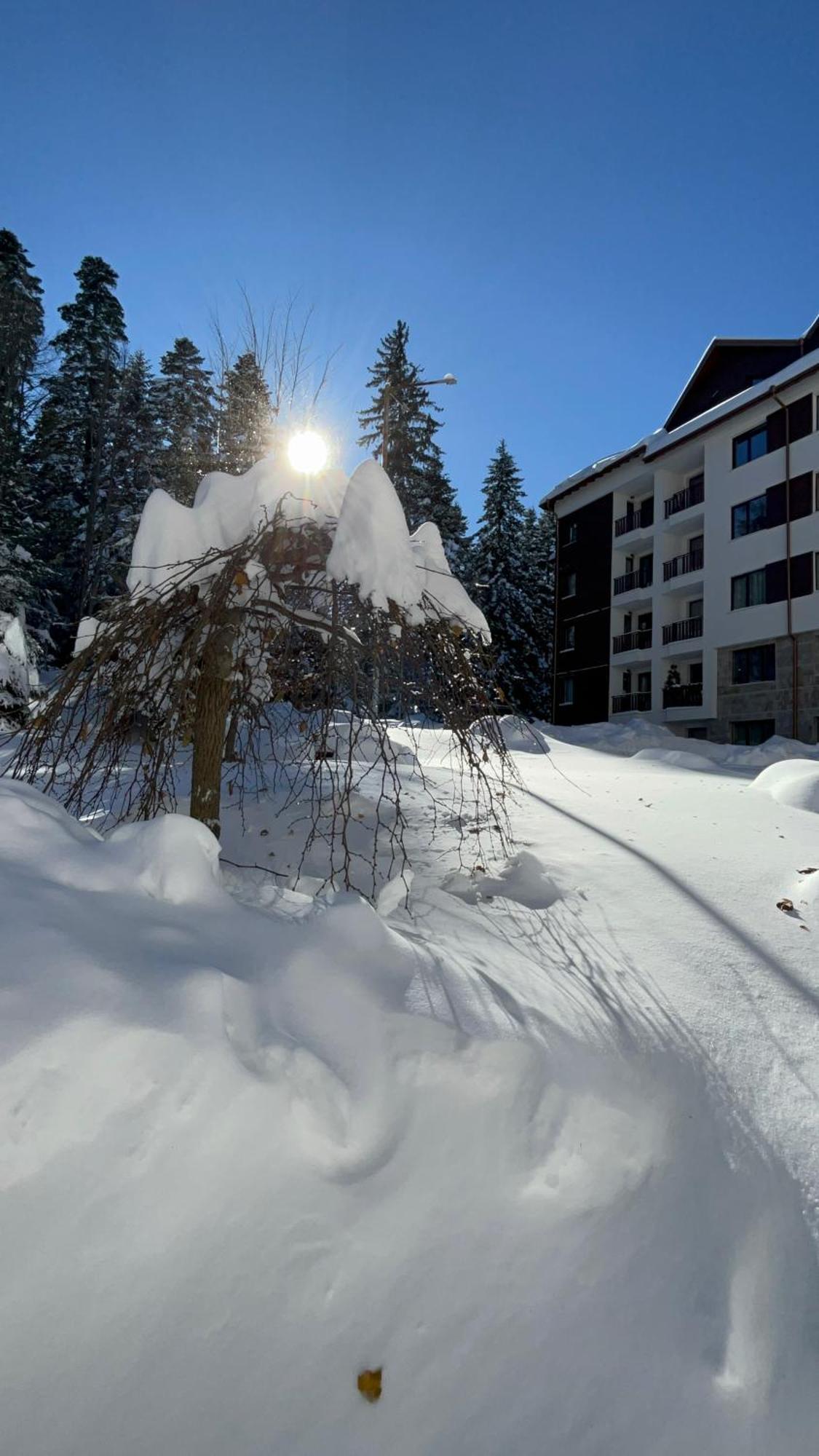 Borovets Gardens B21 Morunov Apart מראה חיצוני תמונה