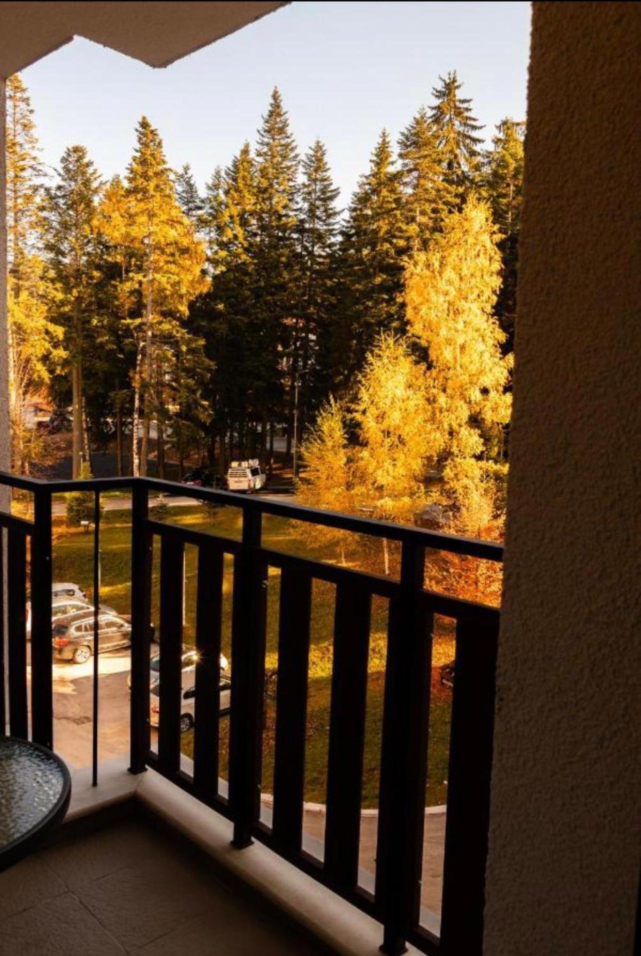 Borovets Gardens B21 Morunov Apart מראה חיצוני תמונה